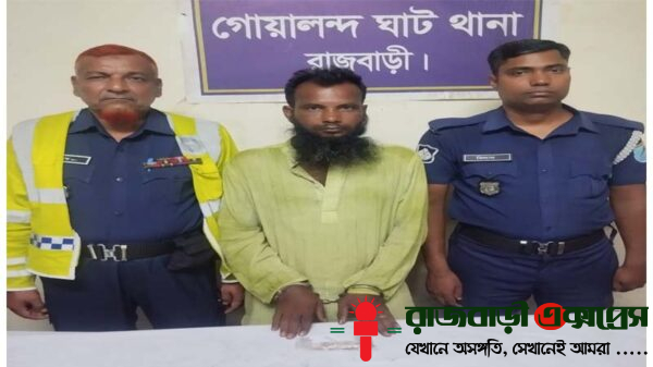 গোয়ালন্দে পুলিশের অভিযানে হেরোইনসহ মাদক ব্যবসায়ী গ্রেফতার