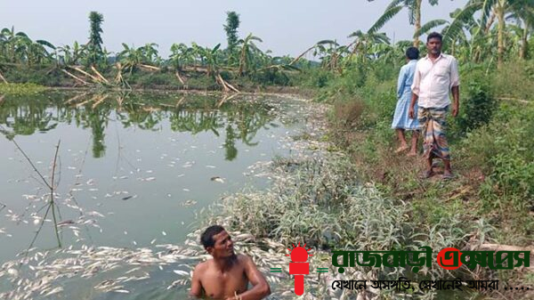 রাজবাড়ীর পাংশা উপজেলার সরিষা ইউনিয়নের বহলাডাঙ্গা পশ্চিমপাড়া এলাকায় এক মৎস্যচাষির পুকুরে বিষাক্ত গ্যাস ট্যাবলেট প্রয়োগ করে প্রায় ৫০ মণ মাছ নিধনের অভিযোগ উঠেছে।