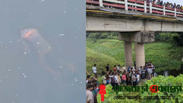 রাজবাড়ী-কুষ্টিয়া আঞ্চলিক মহাসড়কের কালুখালী উপজেলার চাঁদপুর ব্রিজের নিচে চন্দনা নদী থেকে এক অটোচালকের মরদেহ উদ্ধার করেছে পুলিশ। নিহত অটোচালকের