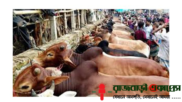 পশুতে পরিপূর্ণ কুরবানি হাট, তবে জমে ওঠেনি বেচাকেনা
