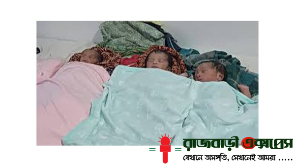 নড়াইলে একসঙ্গে তিন কন্যাসন্তানের জন্ম, আনন্দে পরিবার