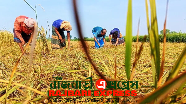 Ganni-Meherpur